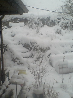 携帯０７０１ 002.jpg