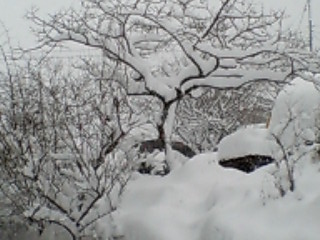 携帯０７０１ 001.jpg