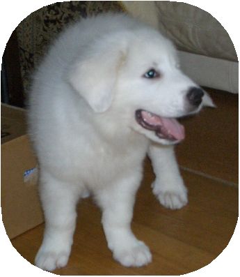 ｊｒ