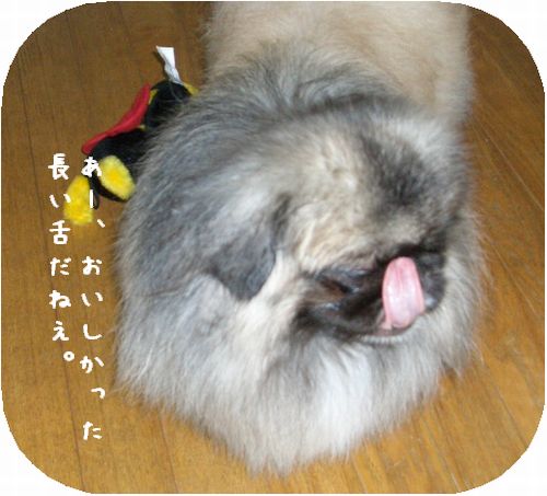 ほね３