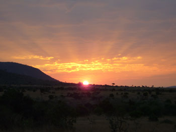 919masai mara