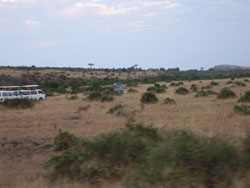 920masai mara