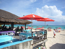 466Playa del Carmen