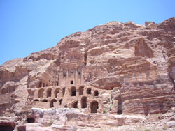 203Petra