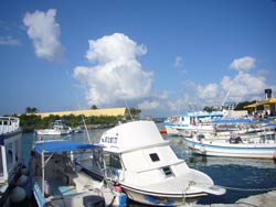 495Cozumel Diving