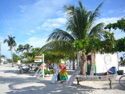 448Caye Caulker