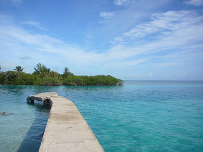 450Caye Caulker