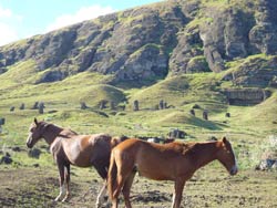 90425Isla de Pascua