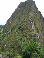 90039Machu Picchu