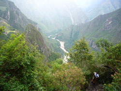 90042Machu Picchu