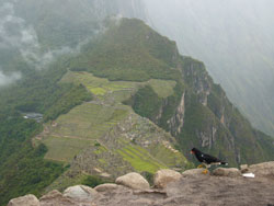 90043Machu Picchu