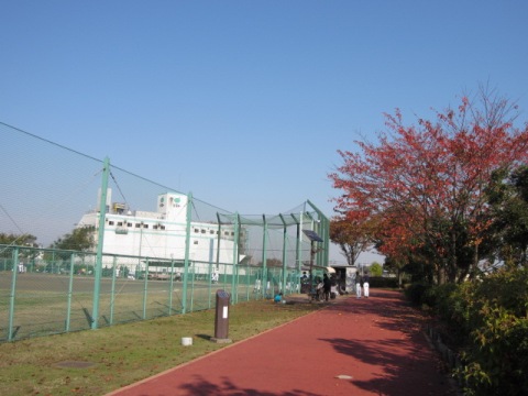 2011・11・23　たかと野球会場.jpg