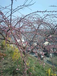 090408_0900~0001.jpg