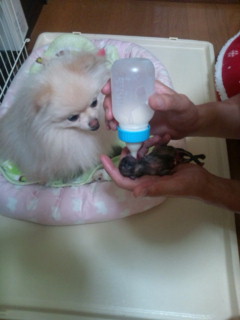 『夢』ありがとう