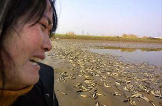 大量の魚の死