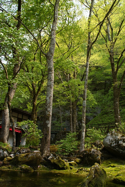 龍泉洞の水(2)