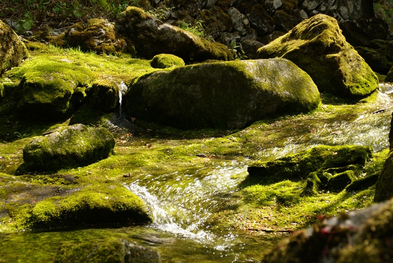 龍泉洞の水(3)