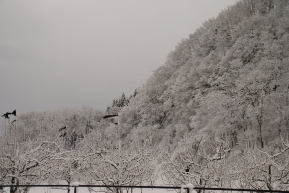 雪景色だよ何か懐かしいなあ