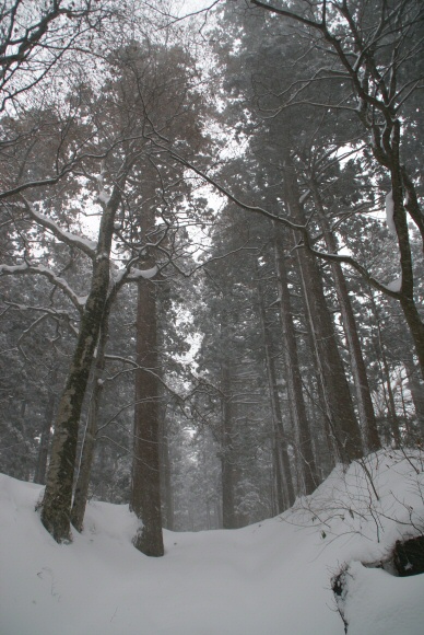 雪の坂道