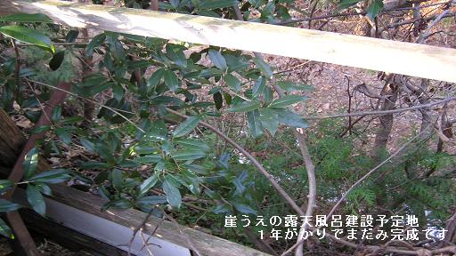 露天風呂3.JPG