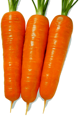 carrot3e.gif