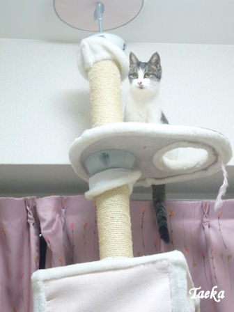 すもも、タワー頂上４.jpg