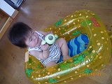 IMGP0377.jpg