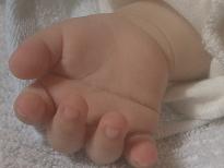 赤ちゃんの手　ますかけ線.JPG