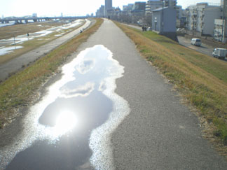 散歩道