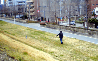 淀川土手鳥を追うダンナ