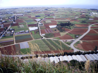 伊江島城山頂上より