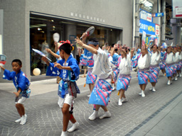 高松商店街阿波踊り