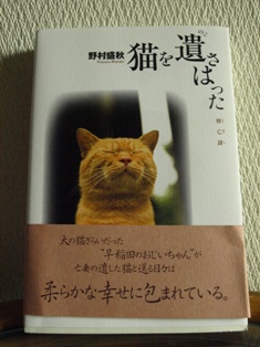 06089441.jpg