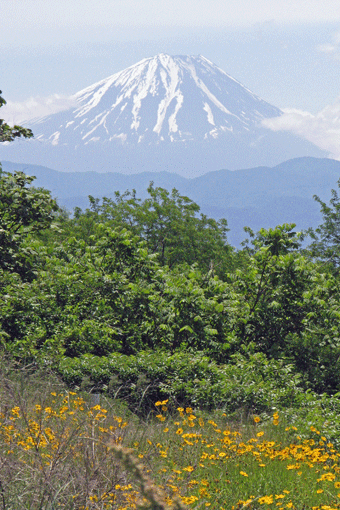 富士山２.gif