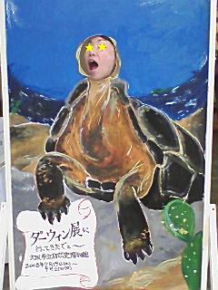 ﾀﾞｰｳｨﾝ★