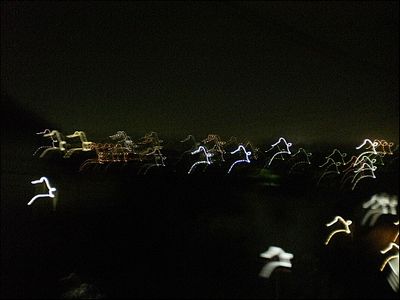 面白画像