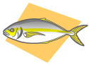 fish05.gif