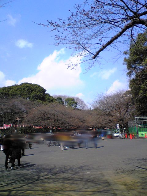 上野公園100319_131921.jpg