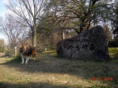 らぶと梅小路公園へ