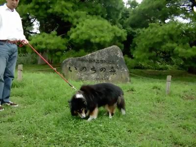 ラッ君といった場所