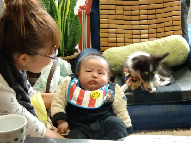 12月13日愛知から犬太母一家が遊びに来て下さいました