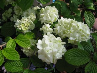 IMG_0295.jpg