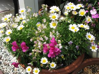 IMG_0578.jpg