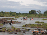 victoria-falls-1.gif