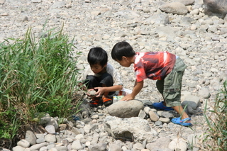 BVS0908012