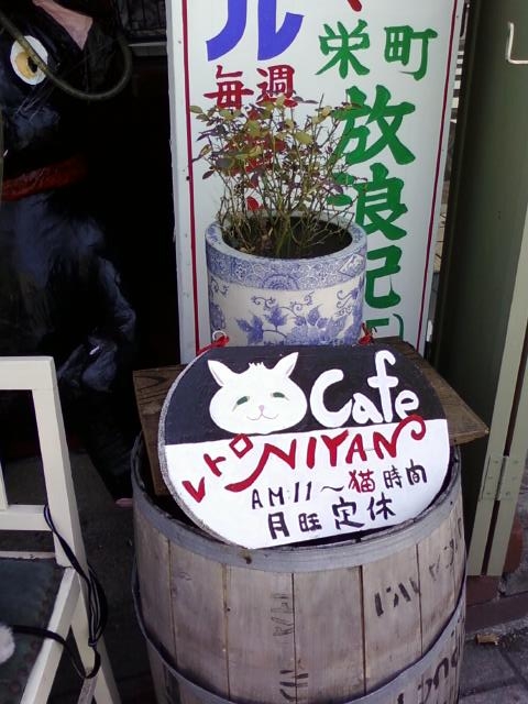 猫カフェ２.JPG