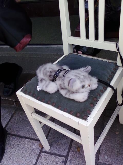 猫カフェ.JPG