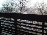 201003251555 s.jpg
