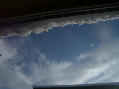 2010出窓の鉢植え1204 025.jpg