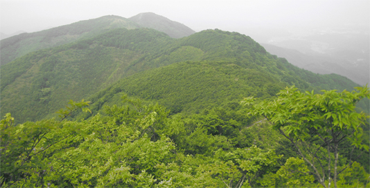 大将旗山から5分下った地点から額取山(安積山)を望む